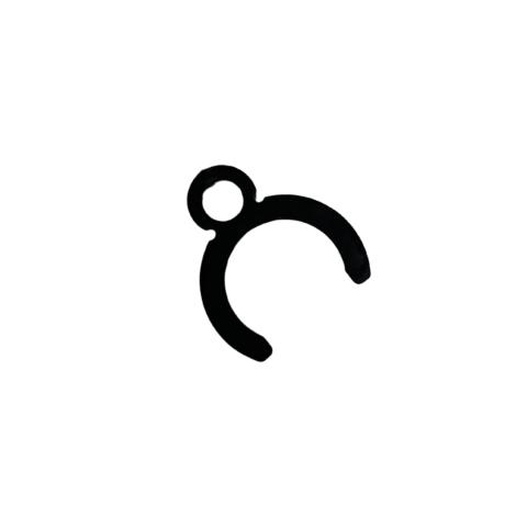 CASI